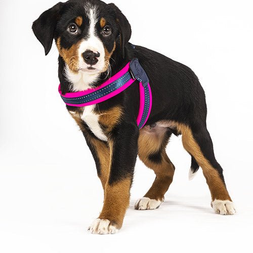 Matrix Pink - Q-Fit Harness - Kanineindia