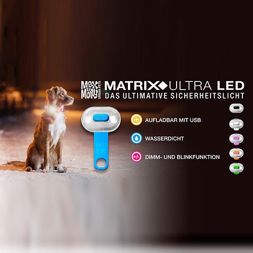 Matrix Ultra LED - Safety light-Orange/Cube - Kanineindia