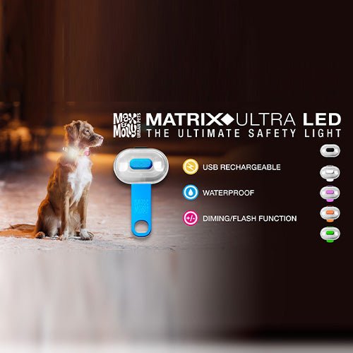 Matrix Ultra LED - Safety light-Pink - Kanineindia