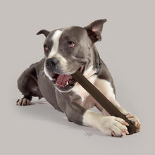  MR. BRANCH - RUBBER TOY FOR DOG - Kanineindia