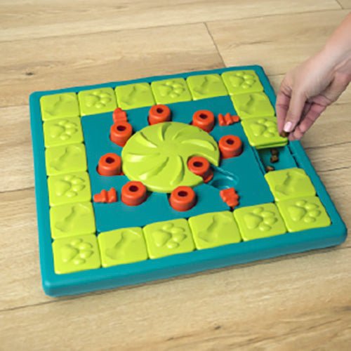 MULTI PUZZLE INTERACTIVE PUZZLE TOY - Kanineindia