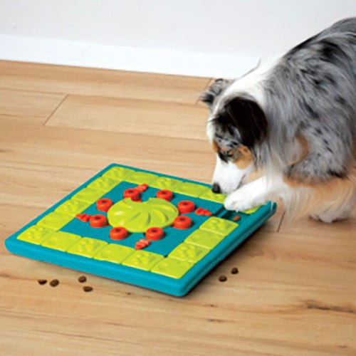 MULTI PUZZLE INTERACTIVE PUZZLE TOY - Kanineindia