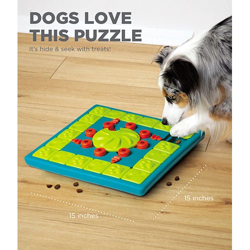 MULTI PUZZLE INTERACTIVE PUZZLE TOY - Kanineindia