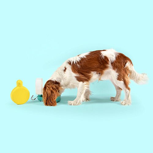 PINGUI - PORTABLE WATER BOTTLE FOR DOGS - Kanineindia