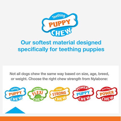 PUPPY CHEW STAGES PACK - Kanineindia