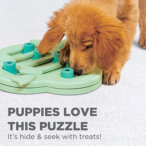 PUPPY HIDE N SLIDE INTERACTIVE TREAT - Kanineindia