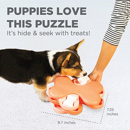 PUPPY TORNADO INTERACTIVE TREAT - Kanineindia