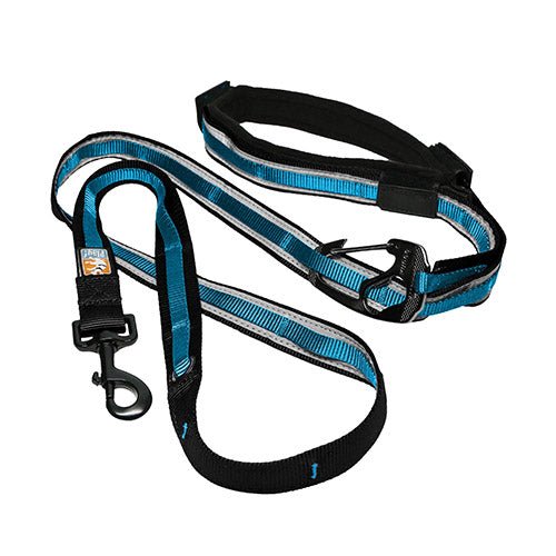 QUANTUM 6-IN-1 DOG LEASH - Kanineindia