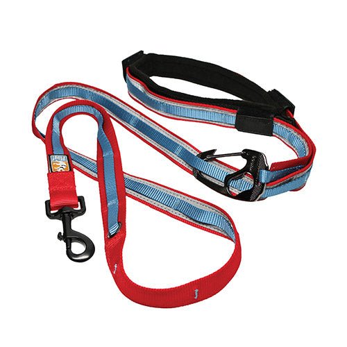 QUANTUM 6-IN-1 DOG LEASH - Kanineindia