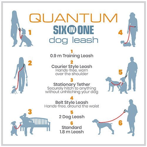 QUANTUM 6-IN-1 DOG LEASH - Kanineindia