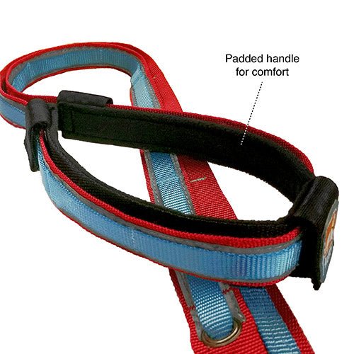 QUANTUM 6-IN-1 DOG LEASH - Kanineindia