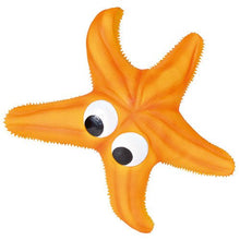  STARFISH TOY - Kanineindia