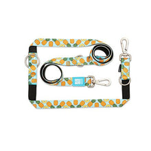  Sweet Pineapple - Multi-Function Leash - Kanineindia