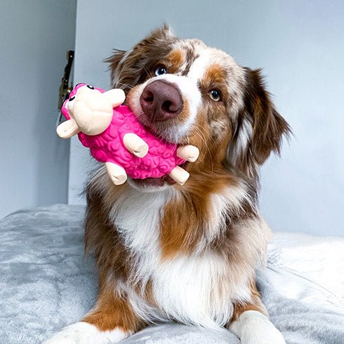 TOOTIEZ SHEEP DOG TOY - Kanineindia