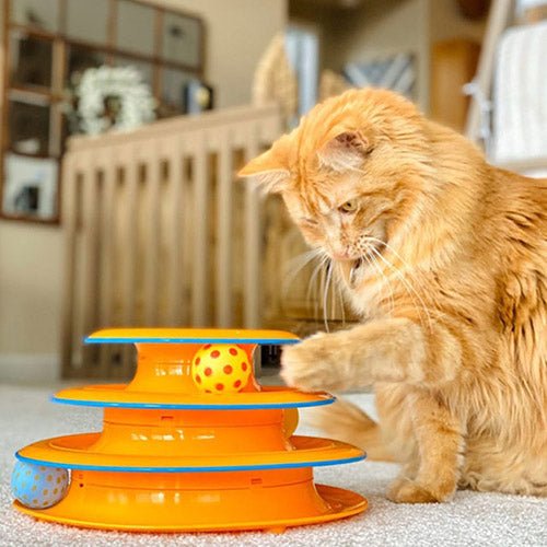 TOWER OF TRACK, THREE LEVEL ACTIVE CAT TOY - Kanineindia