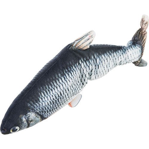 WRIGGLY FISH - Kanineindia