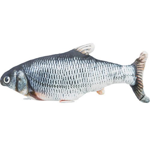 WRIGGLY FISH - Kanineindia